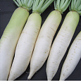 Дайкон  Универсал F1 Дайкон  Универсал F1