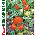 Томат (Помидор) обыкновенный Невский юбилейный Томат (Помидор) обыкновенный Невский юбилейный
