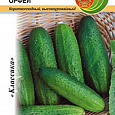 Огурец  Орфей F1 Огурец  Орфей F1