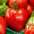 Томат Сердце Сибири Томат Сердце Сибири