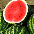 Арбуз  Порционный красный F1 Арбуз  Порционный красный F1