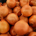 Лук Репчатый Бонус F1 Лук Репчатый Бонус F1