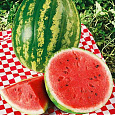 Арбуз  Порционный красный F1 Арбуз  Порционный красный F1
